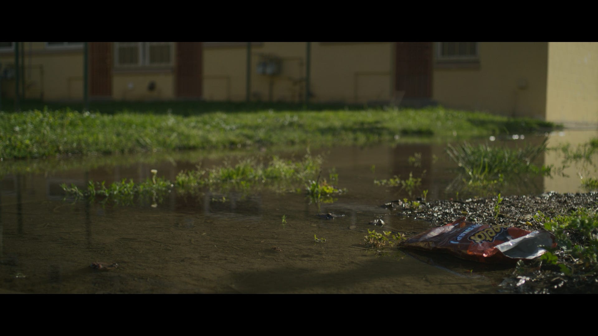 Film still — Nickerson Gardens, flooded ground